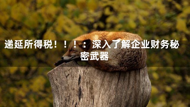 递延所得税！！！：深入了解企业财务秘密武器