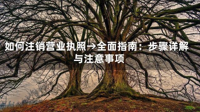 如何注销营业执照→全面指南：步骤详解与注意事项