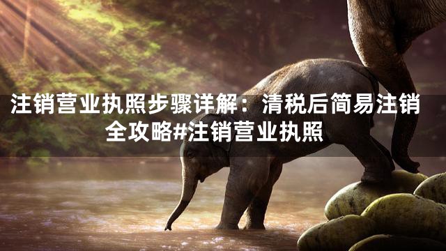 注销营业执照步骤详解：清税后简易注销全攻略#注销营业执照