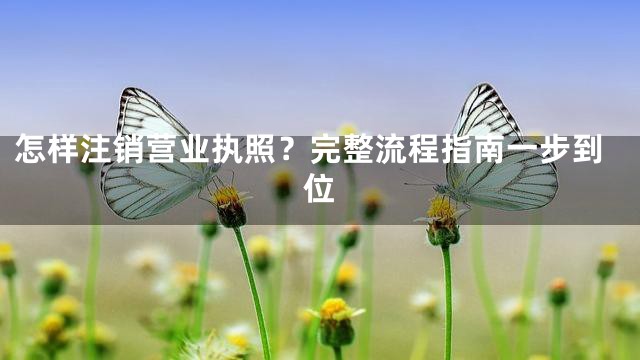怎样注销营业执照？完整流程指南一步到位