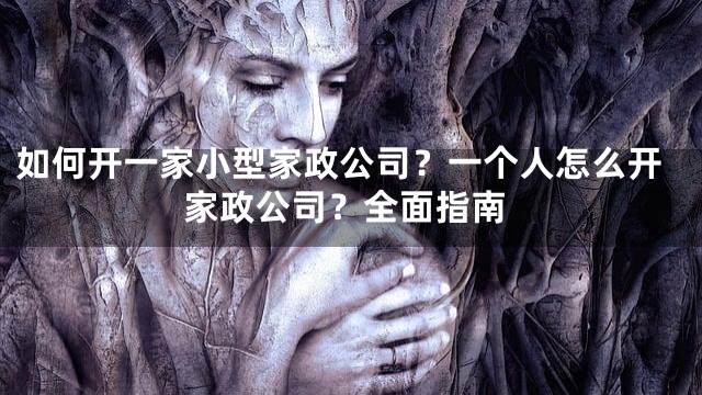 如何开一家小型家政公司？一个人怎么开家政公司？全面指南