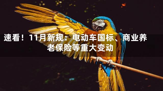 速看！11月新规：电动车国标、商业养老保险等重大变动