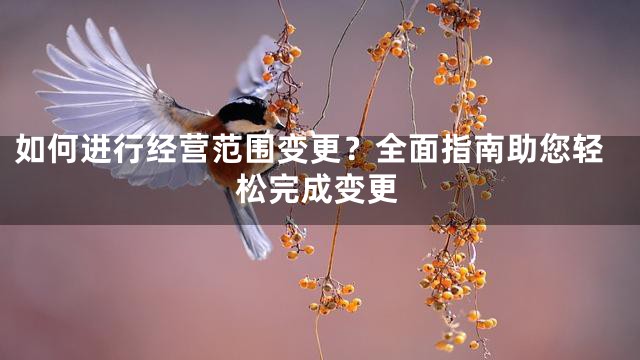 如何进行经营范围变更？全面指南助您轻松完成变更