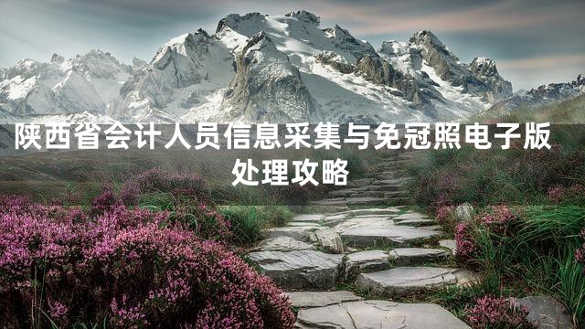 陕西省会计人员信息采集与免冠照电子版处理攻略