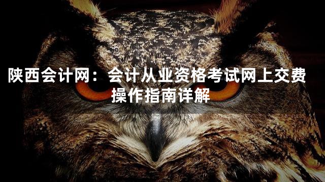 陕西会计网：会计从业资格考试网上交费操作指南详解