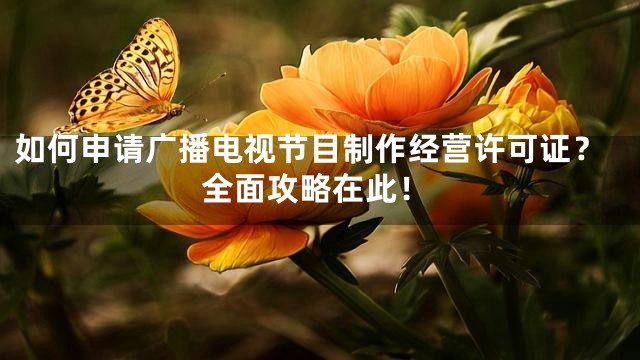 如何申请广播电视节目制作经营许可证？全面攻略在此！