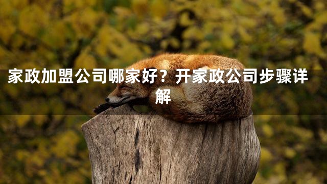 家政加盟公司哪家好？开家政公司步骤详解