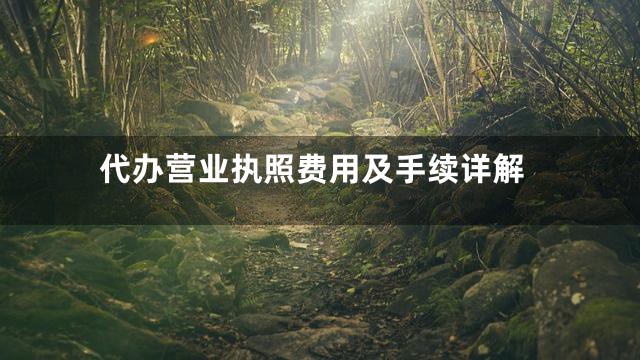 代办营业执照费用及手续详解