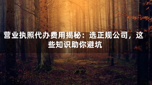营业执照代办费用揭秘：选正规公司，这些知识助你避坑