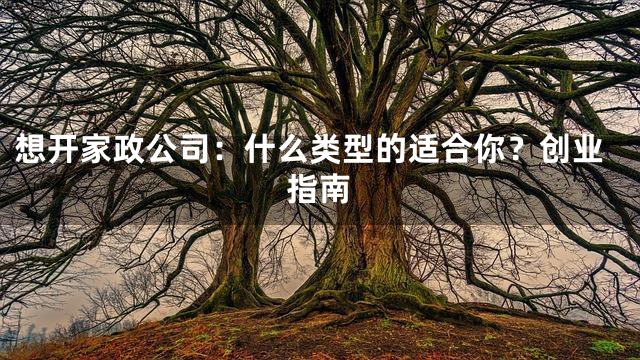 想开家政公司：什么类型的适合你？创业指南