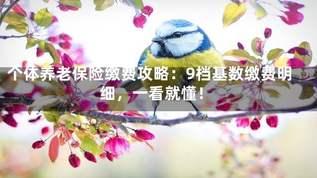 个体养老保险缴费攻略：9档基数缴费明细，一看就懂！