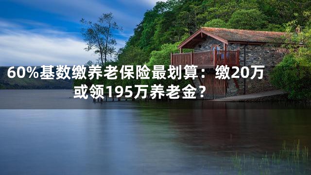 60%基数缴养老保险最划算：缴20万或领195万养老金？