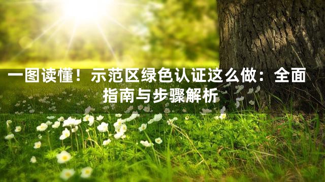 一图读懂！示范区绿色认证这么做：全面指南与步骤解析