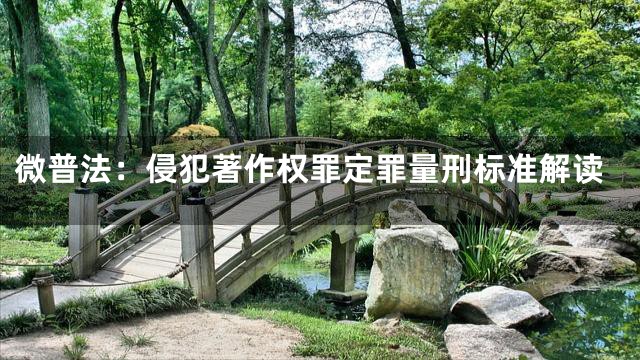 微普法：侵犯著作权罪定罪量刑标准解读