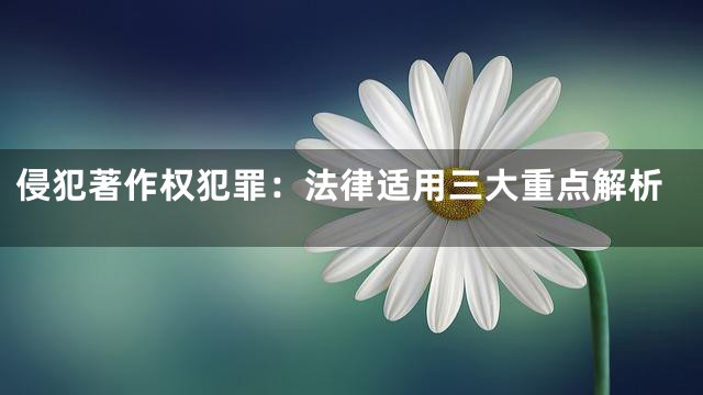 侵犯著作权犯罪：法律适用三大重点解析
