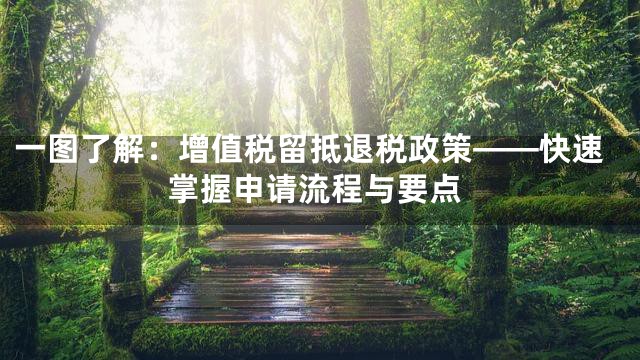 一图了解：增值税留抵退税政策——快速掌握申请流程与要点