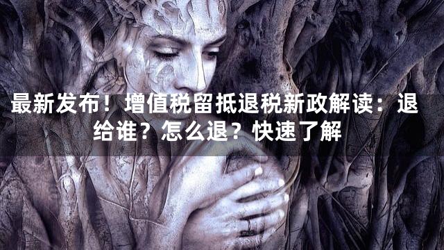 最新发布！增值税留抵退税新政解读：退给谁？怎么退？快速了解