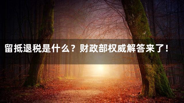 留抵退税是什么？财政部权威解答来了！