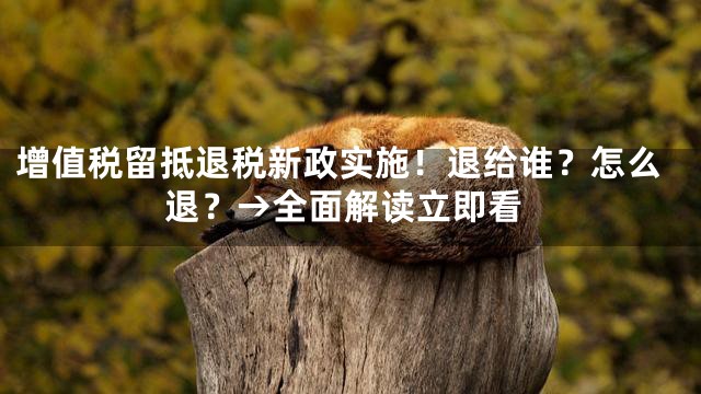 增值税留抵退税新政实施！退给谁？怎么退？→全面解读立即看