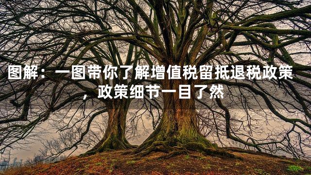 图解：一图带你了解增值税留抵退税政策，政策细节一目了然