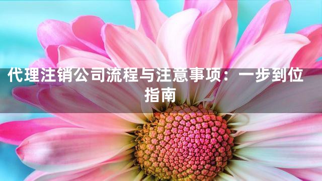 代理注销公司流程与注意事项：一步到位指南