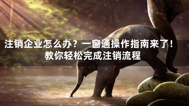 注销企业怎么办？一窗通操作指南来了！教你轻松完成注销流程