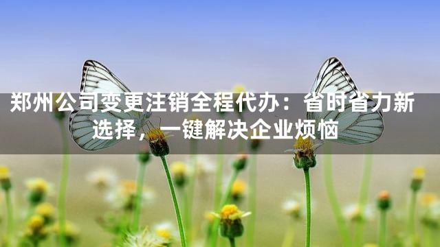 郑州公司变更注销全程代办：省时省力新选择，一键解决企业烦恼