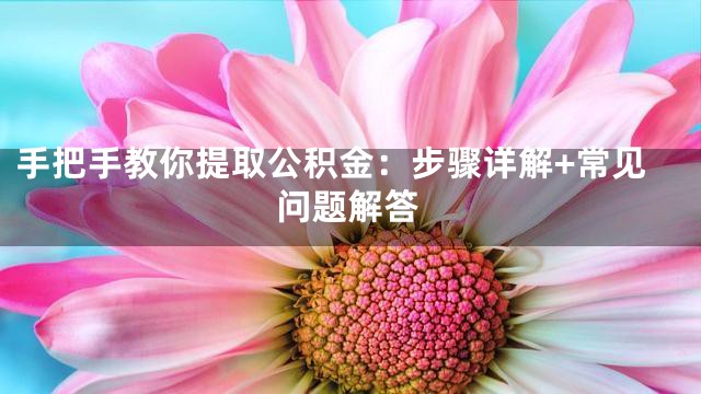 手把手教你提取公积金：步骤详解+常见问题解答
