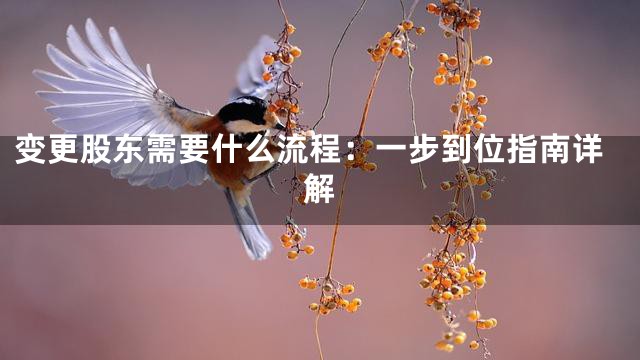 变更股东需要什么流程：一步到位指南详解