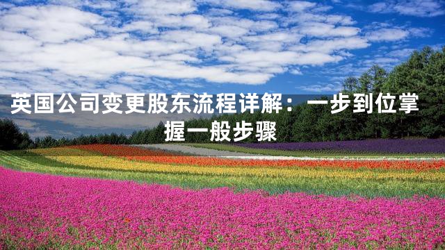 英国公司变更股东流程详解：一步到位掌握一般步骤