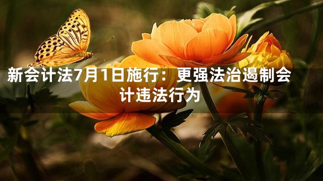 新会计法7月1日施行：更强法治遏制会计违法行为