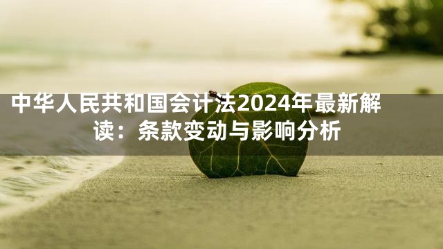 中华人民共和国会计法2024年最新解读：条款变动与影响分析