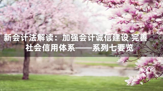 新会计法解读：加强会计诚信建设 完善社会信用体系——系列七要览