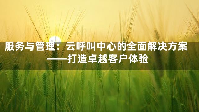 服务与管理：云呼叫中心的全面解决方案——打造卓越客户体验