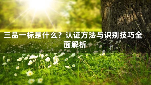三品一标是什么？认证方法与识别技巧全面解析