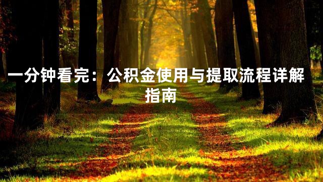 一分钟看完：公积金使用与提取流程详解指南
