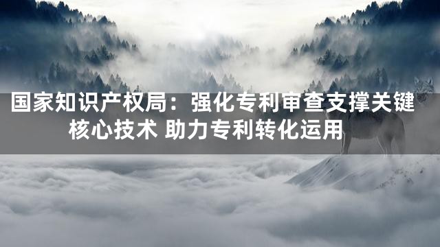 国家知识产权局：强化专利审查支撑关键核心技术 助力专利转化运用