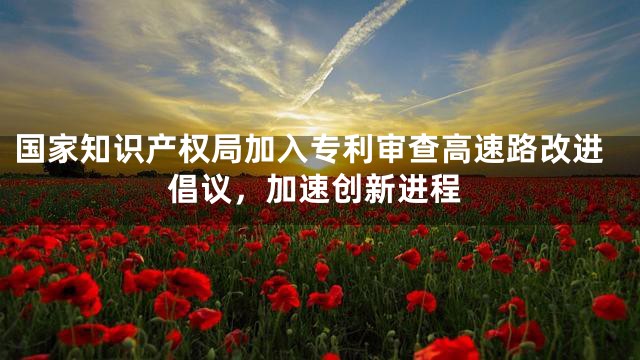 国家知识产权局加入专利审查高速路改进倡议，加速创新进程