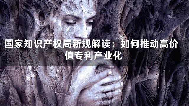 国家知识产权局新规解读：如何推动高价值专利产业化