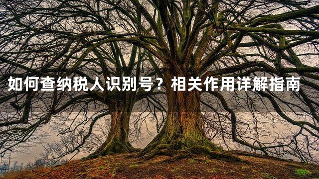 如何查纳税人识别号？相关作用详解指南
