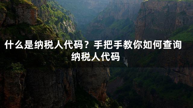 什么是纳税人代码？手把手教你如何查询纳税人代码