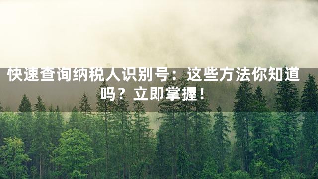 快速查询纳税人识别号：这些方法你知道吗？立即掌握！