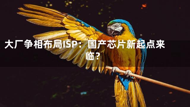 大厂争相布局ISP：国产芯片新起点来临？