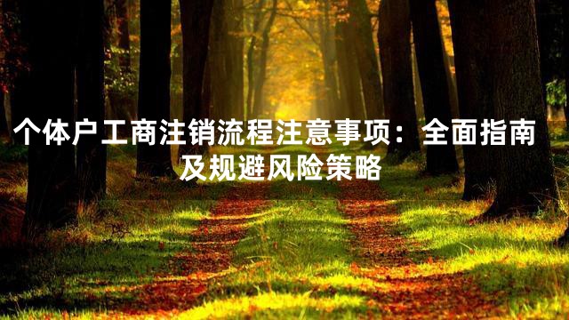 个体户工商注销流程注意事项：全面指南及规避风险策略