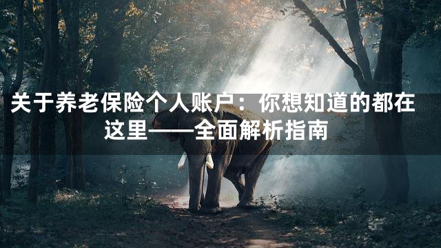 关于养老保险个人账户：你想知道的都在这里——全面解析指南