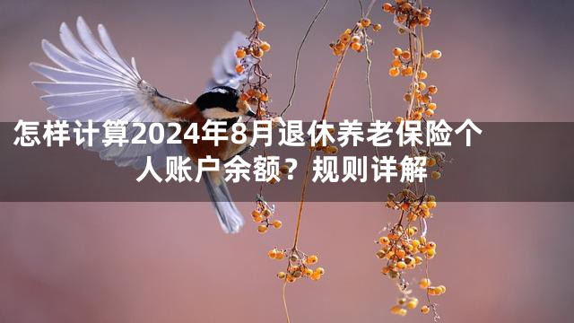 怎样计算2024年8月退休养老保险个人账户余额？规则详解