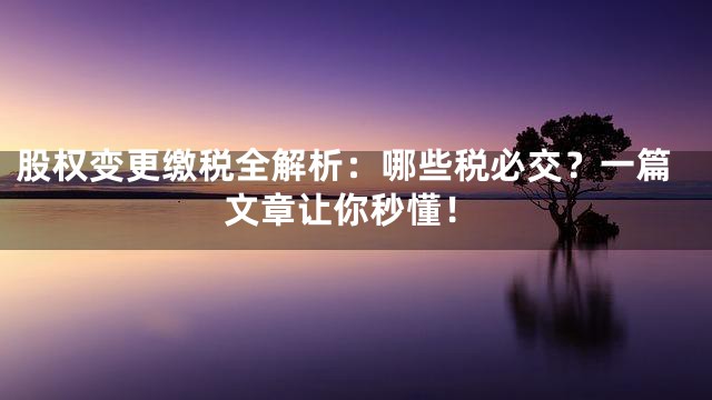股权变更缴税全解析：哪些税必交？一篇文章让你秒懂！