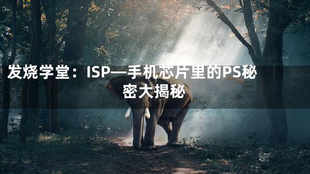 发烧学堂：ISP—手机芯片里的PS秘密大揭秘