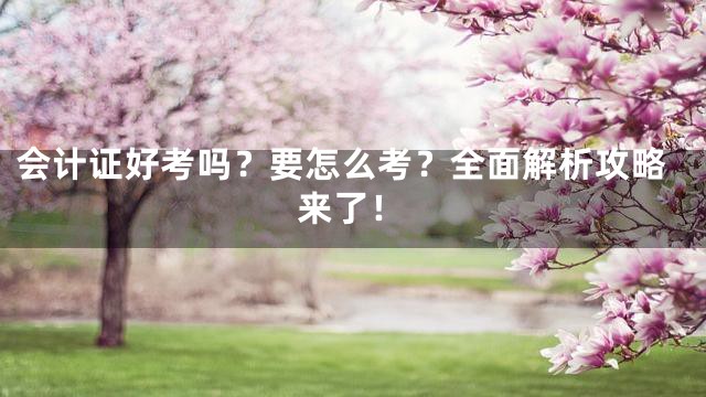 会计证好考吗？要怎么考？全面解析攻略来了！