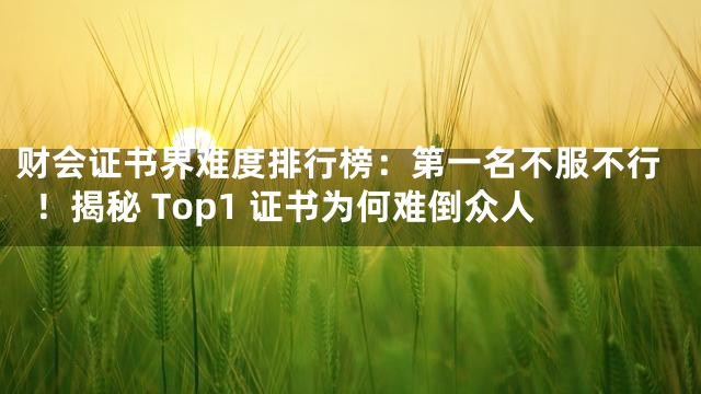 财会证书界难度排行榜：第一名不服不行！揭秘 Top1 证书为何难倒众人